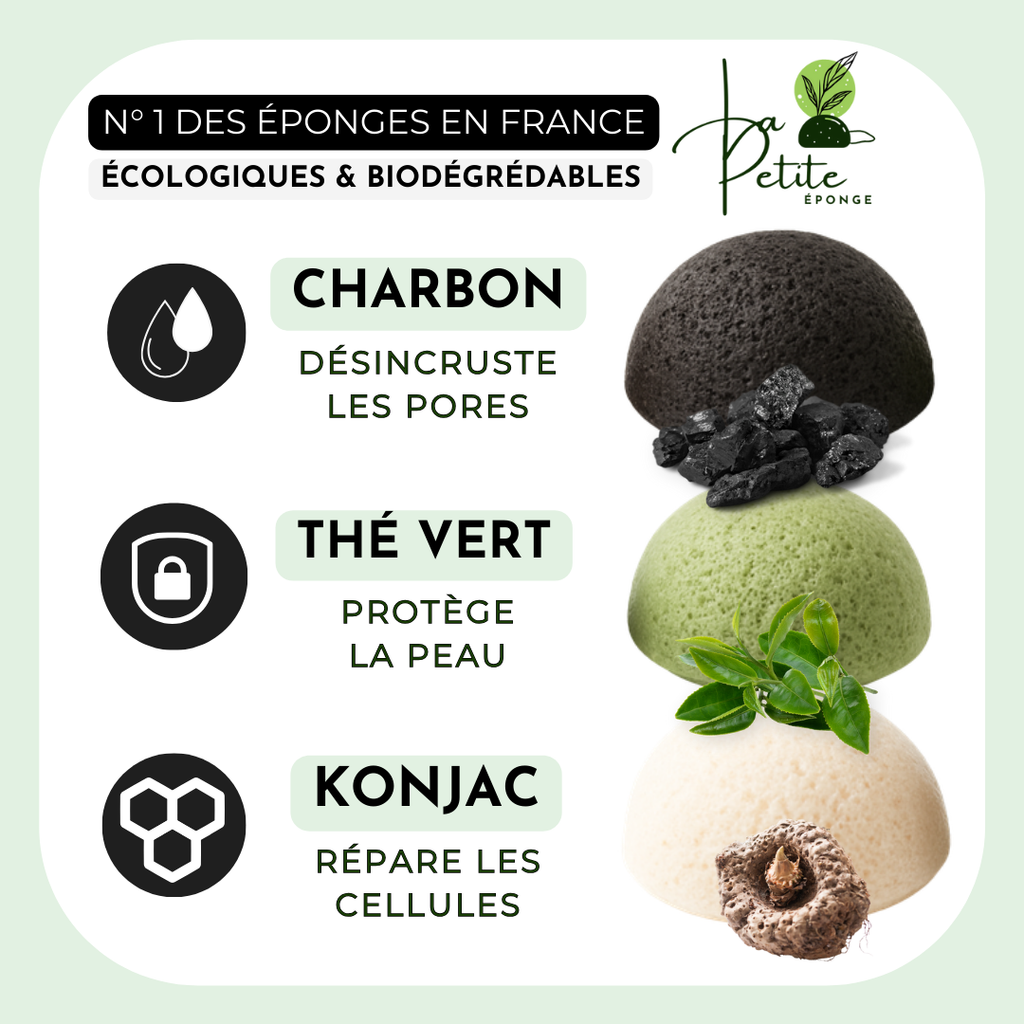 Pack 3 éponges Konjac, Charbon, Thé vert