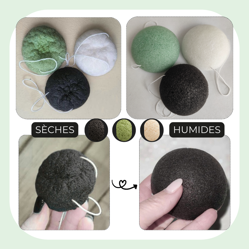 Pack 3 éponges Konjac, Charbon, Thé vert