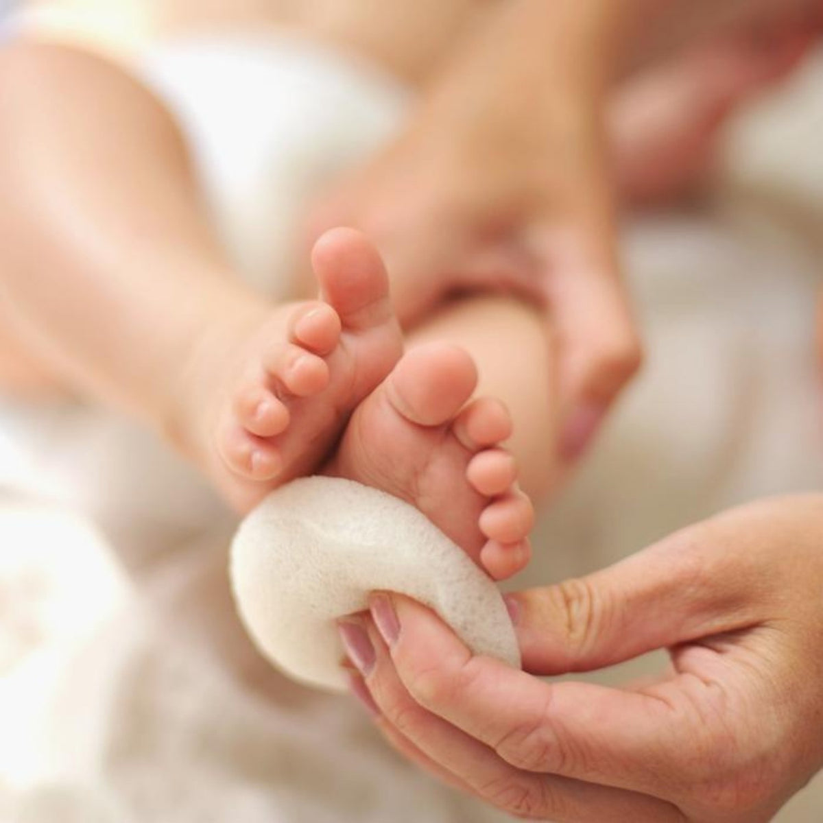 Pack 3 éponges Konjac, Charbon, Thé vert